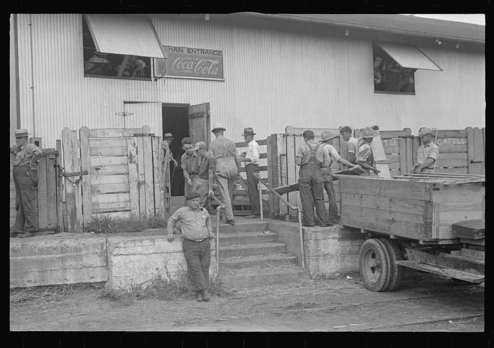 Unloading platform. Pickaway Livestock Cooperative Association, central Ohio. Sourced from the Library of Congress.