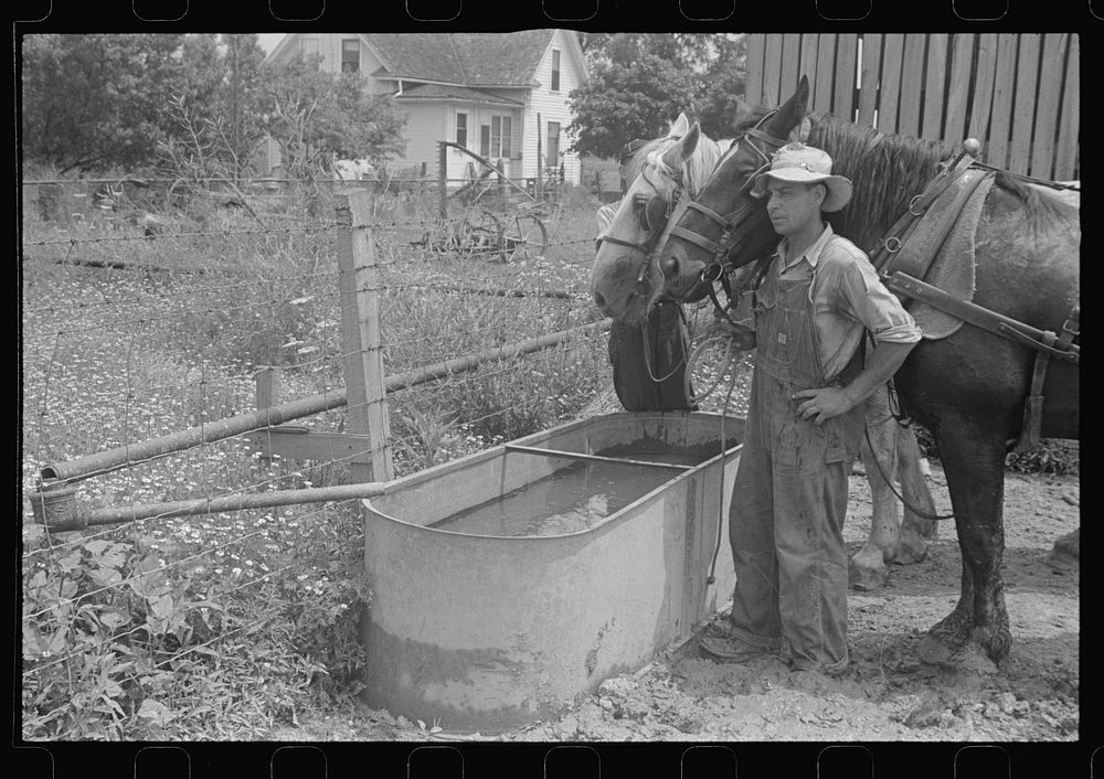 Farmyard scene during wheat harvest, central Ohio. Sourced from the Library of Congress.
