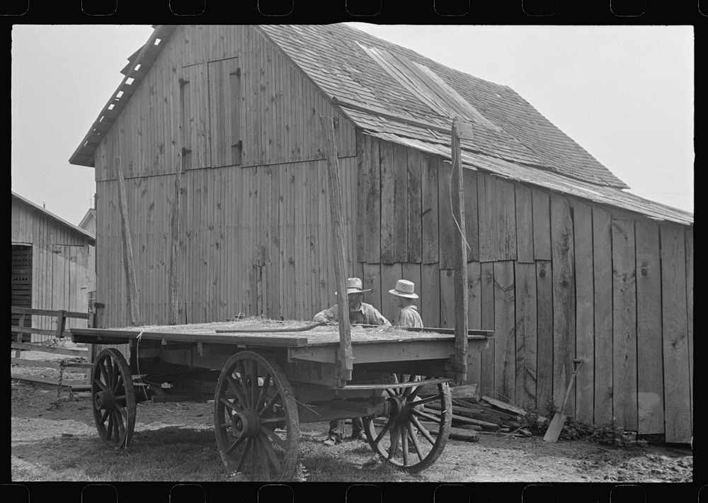 [Untitled photo, possibly related to: Horses on farm during wheat harvest, central Ohio]. Sourced from the Library of…