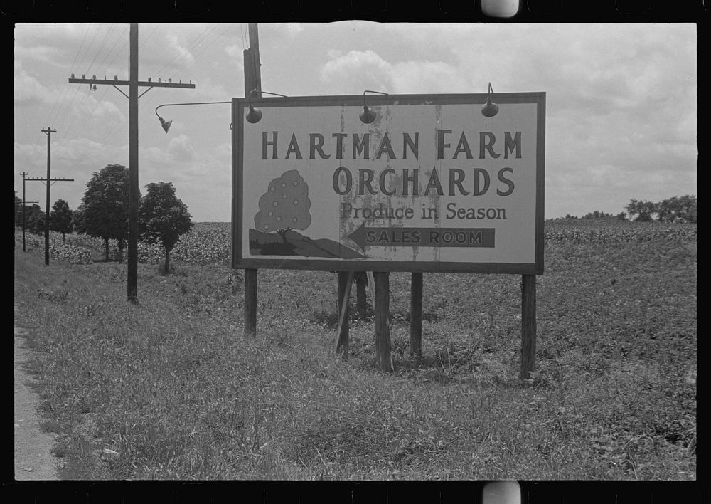 Roadside advertising near Columbus, Ohio. Sourced from the Library of Congress.