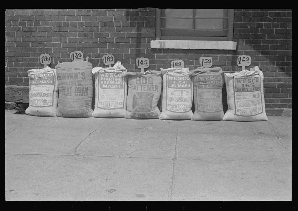 Stock feed front feed store, Free Photo rawpixel