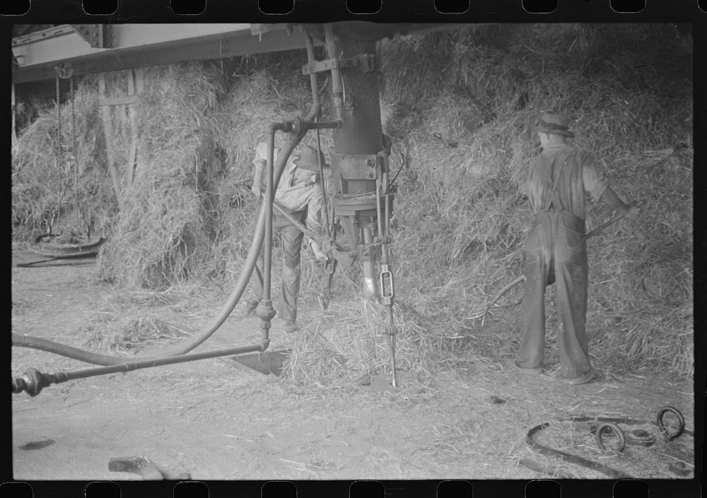 Baled straw to be used for making strawboard at Container Corporation of America; makes paper out of straw. Circleville…