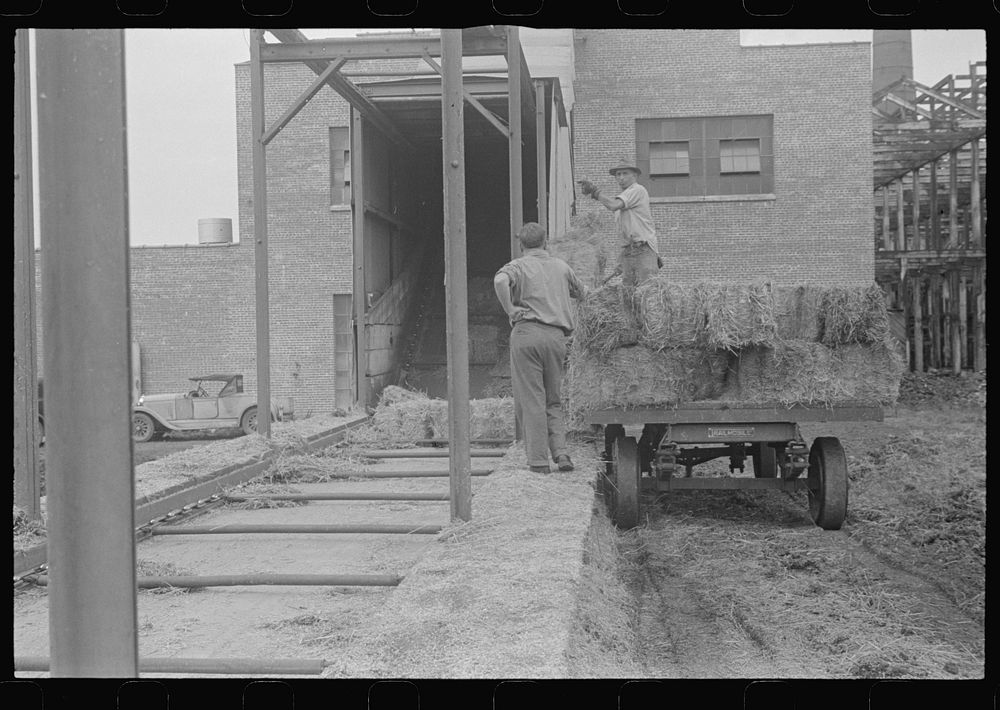 Baled straw to be used for making strawboard at Container Corporation of America plant, Circleville, Ohio. Sourced from the…