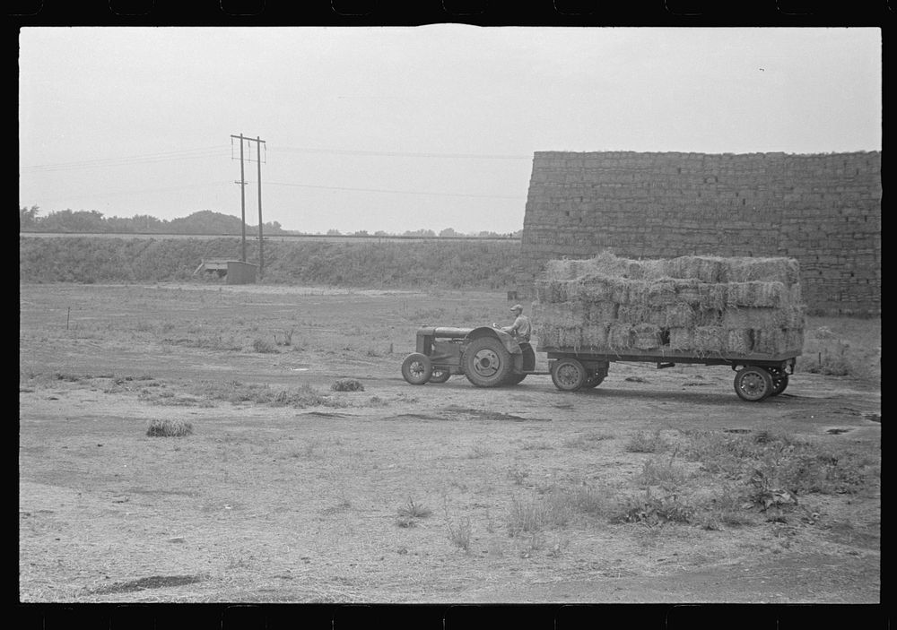 [Untitled photo, possibly related to: Baled straw to be used for making strawboard at Container Corporation of America;…