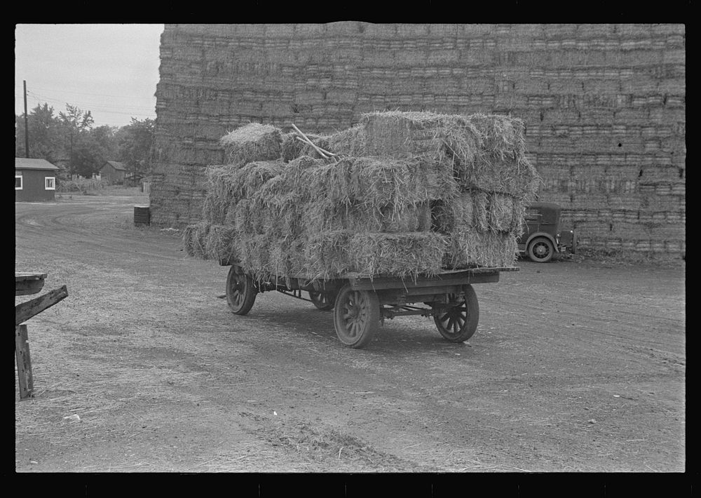 Baled straw to be used for making strawboard at Container Corporation of America, Circleville, Ohio. Sourced from the…