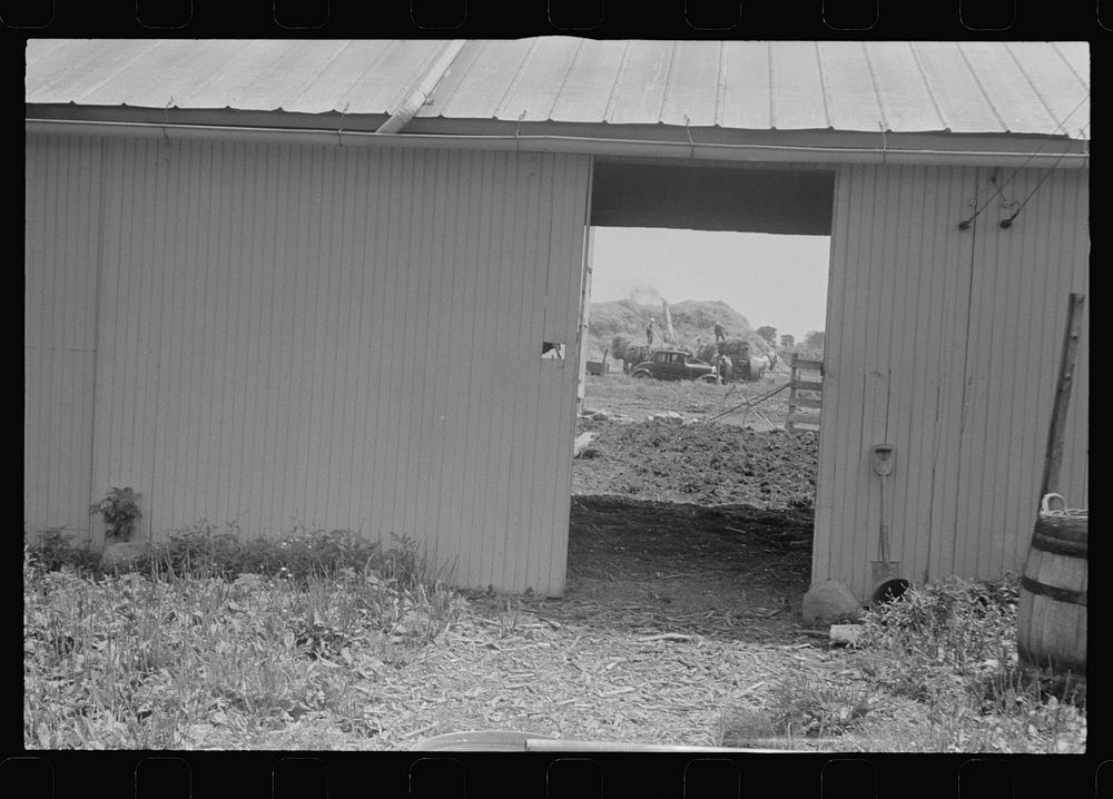 Threshing seen through barn doors, central Ohio. Sourced from the Library of Congress.
