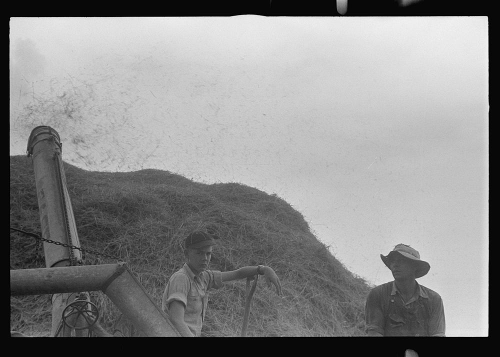 [Untitled photo, possibly related to: Farmer sampling wheat as it comes from separator, Central Ohio (see general caption].…