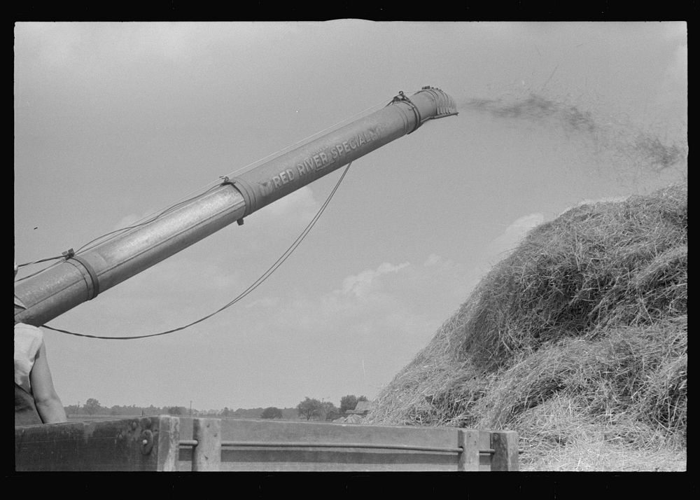 Wheat harvest. In the field, the chaff and the straw. central Ohio.  (see general caption). Sourced from the Library of…