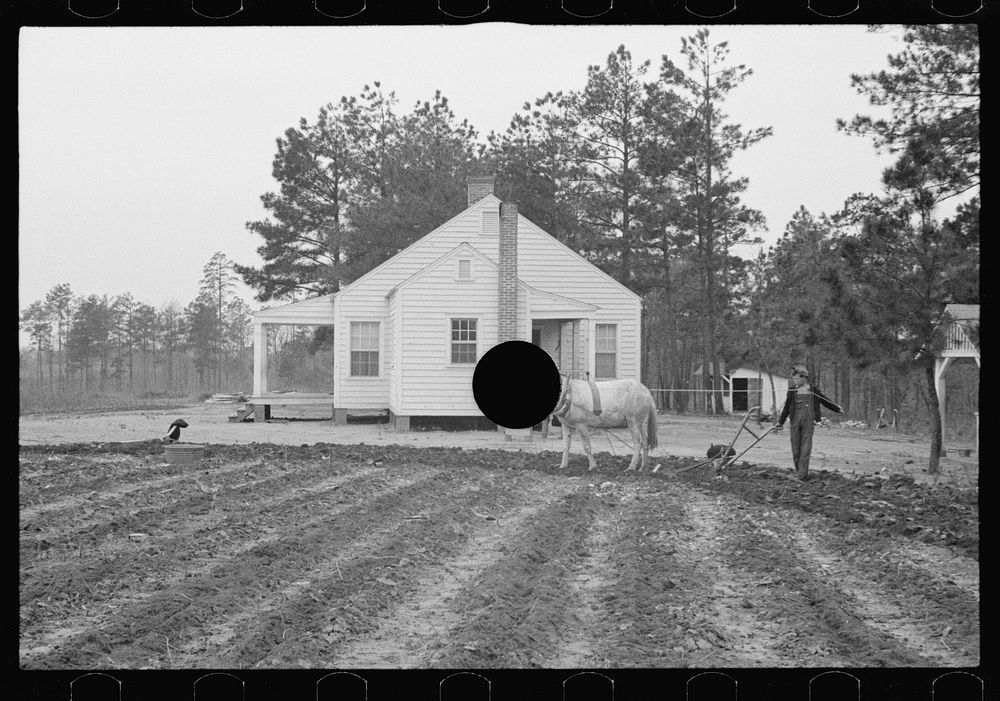 [Untitled photo, possibly related to: Resettlement-constructed homestead near Eatonton, Georgia. Briar Patch Project].…