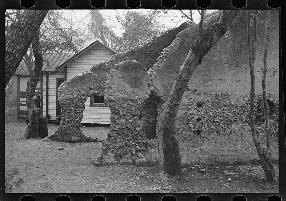 [Untitled photo, possibly related to: Ruins of supposed Spanish mission. Tabby construction. St. Marys, Georgia]. Sourced…