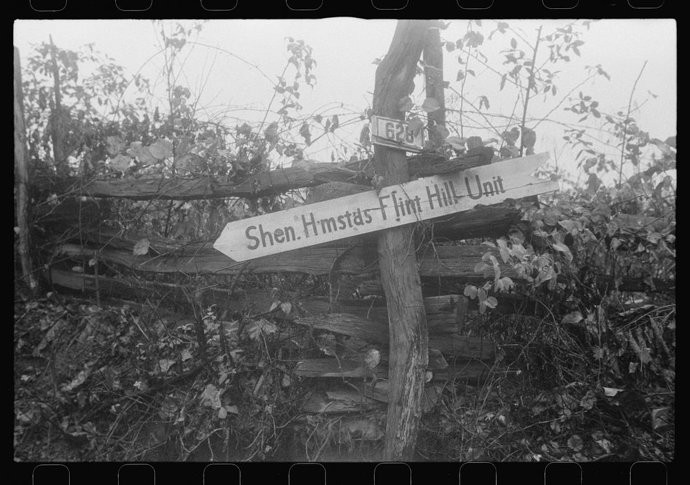 Scenes of the northern Shenandoah Valley, including the Resettlement Administration's Shenandoah Homesteads. Sourced from…
