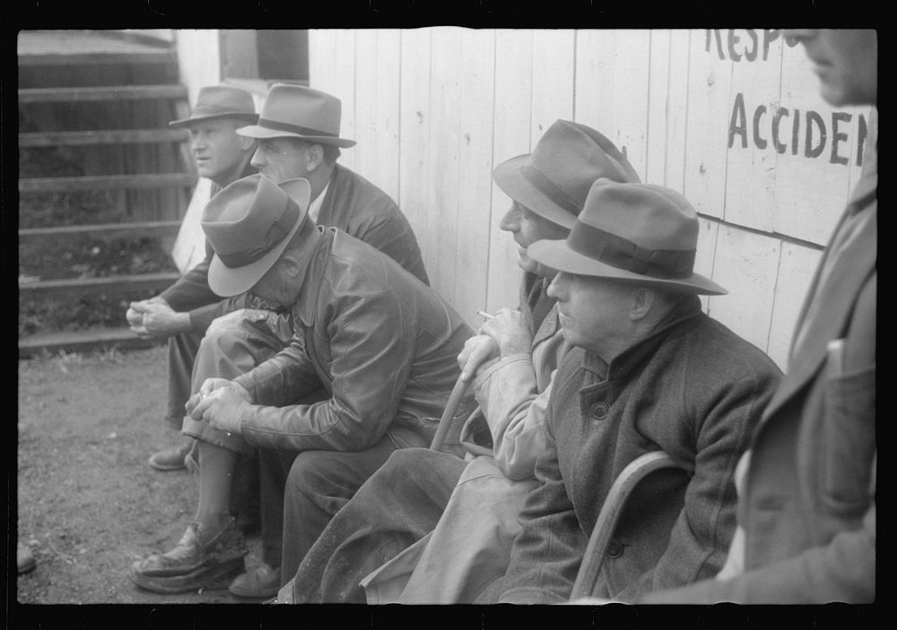 Scenes of the northern Shenandoah Valley, including the Resettlement Administration's Shenandoah Homesteads. Sourced from…