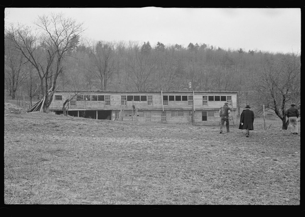 Henhouse of a poultry cooperative society near Stevensville, New York. Sourced from the Library of Congress.