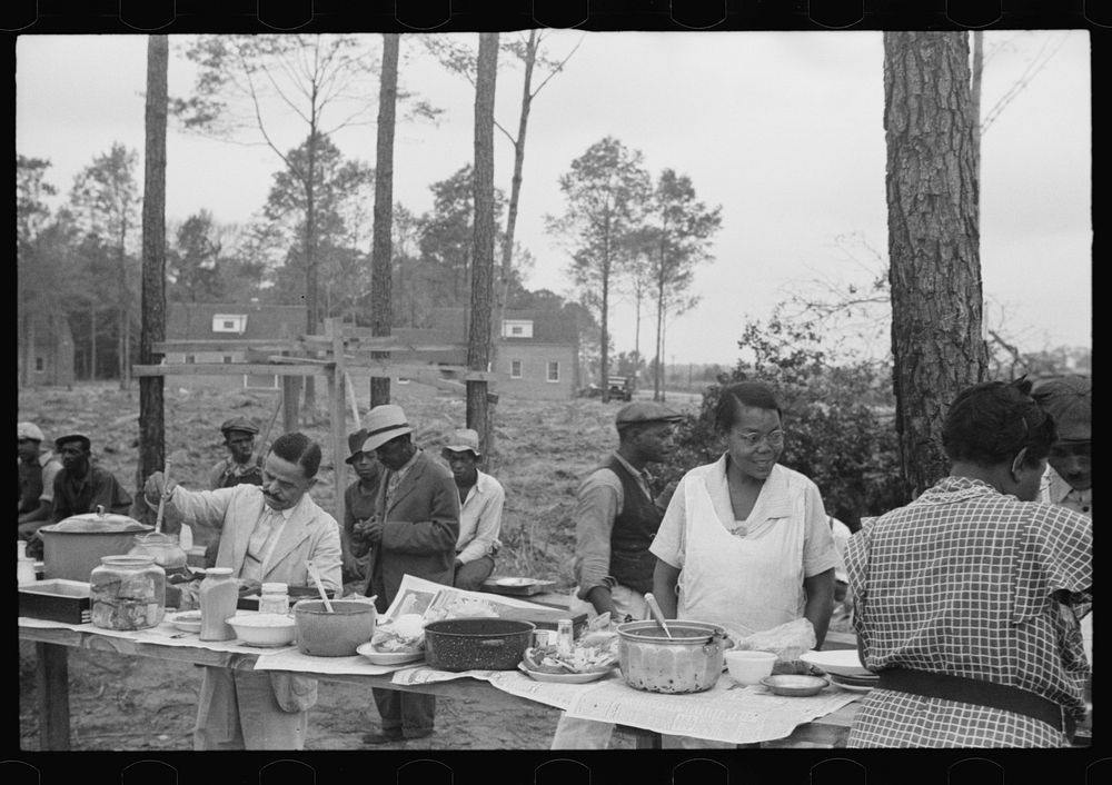 [Untitled photo, possibly related to: es on a picnic, Newport News, Virginia]. Sourced from the Library of Congress.