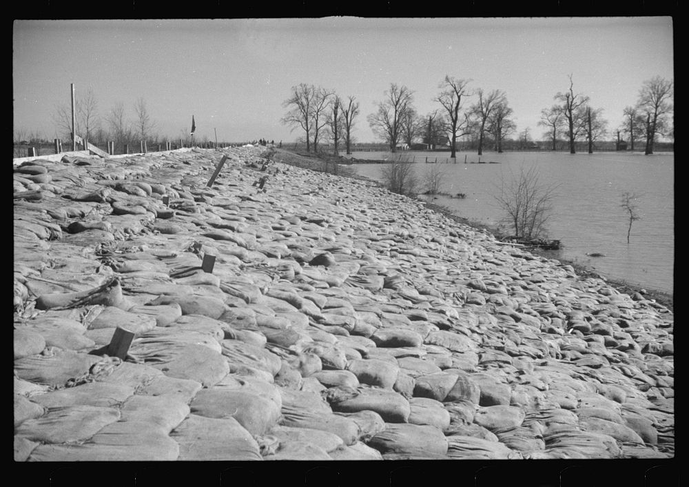 The Bessie Levee augmented with sand bags during the 1937 flood near Tiptonville, Tennessee. Sourced from the Library of…