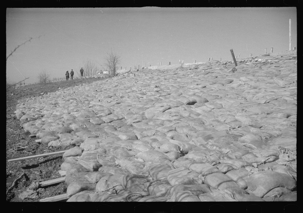 [Untitled photo, possibly related to: The Bessie Levee augmented with sand bags during the 1937 flood near Tiptonville…