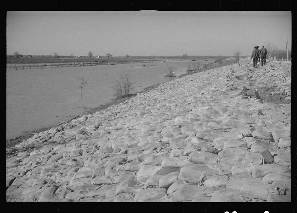 [Untitled photo, possibly related to: The Bessie Levee augmented with sand bags during the 1937 flood. Near Tiptonville…