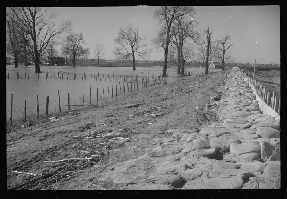 The Bessie Levee augmented with sand bags during the 1937 flood. Near Tiptonville, Tennessee. Sourced from the Library of…