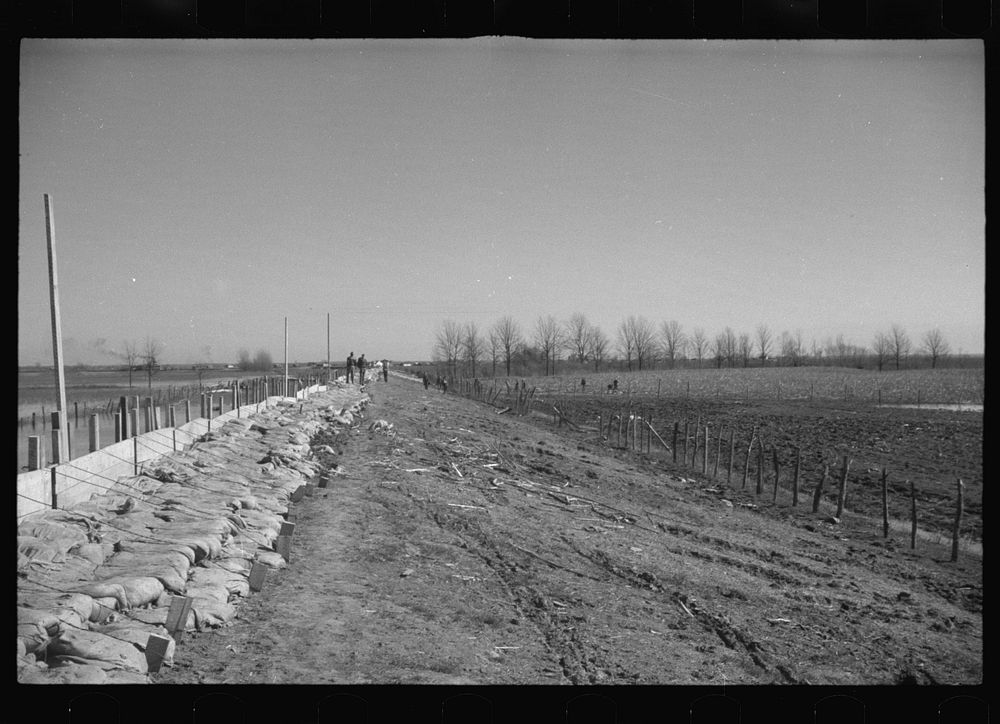 [Untitled photo, possibly related to: The Bessis Levee, along a subsidiary of the Mississippi River, near Tiptonville…