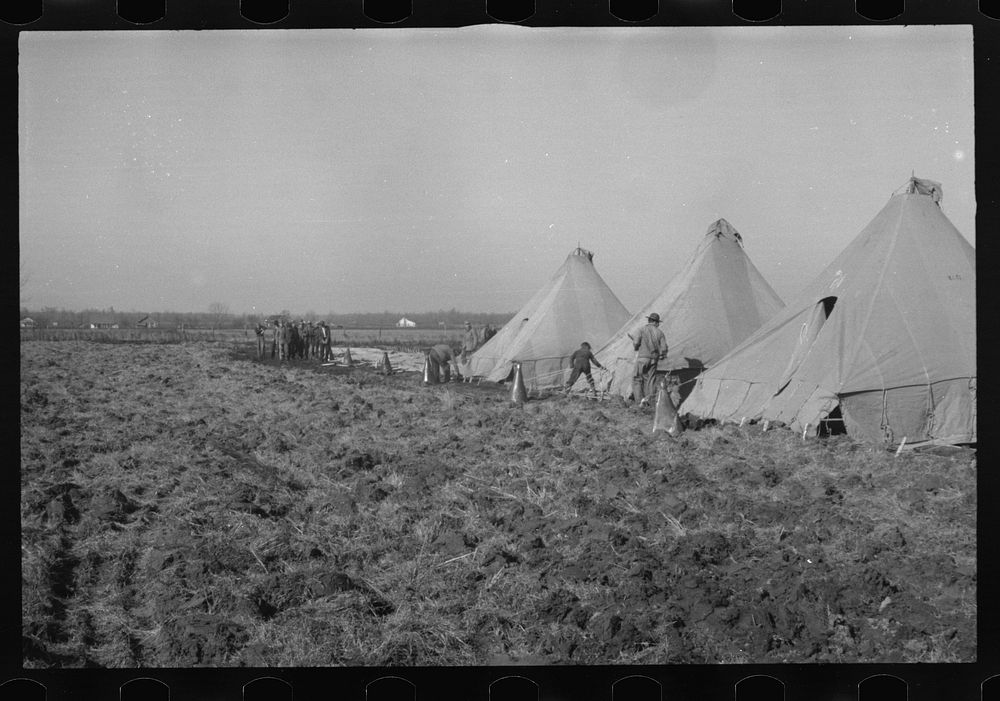 [Untitled photo, possibly related to: Setting up a tent in the camp for white flood refugees, Forrest City, Arkansas].…