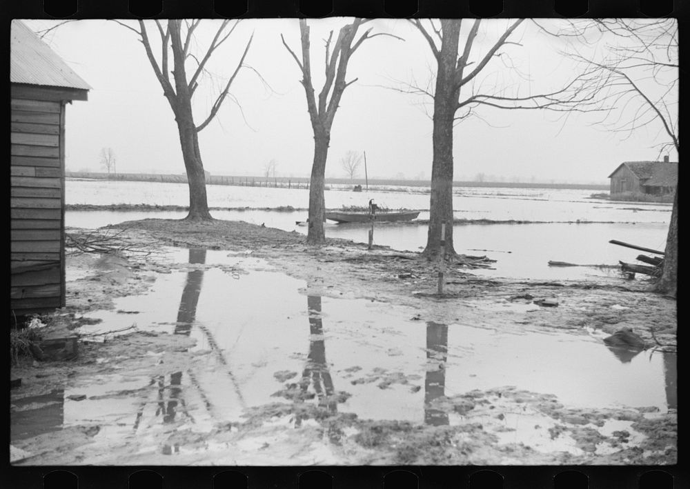 [Untitled photo, possibly related to: Farmyard covered with flood waters near Ridgeley, Tennessee]. Sourced from the Library…