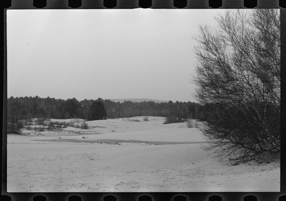 [Untitled photo, possibly related to: Desert of Maine. Freeport. Sand covering grass]. Sourced from the Library of Congress.