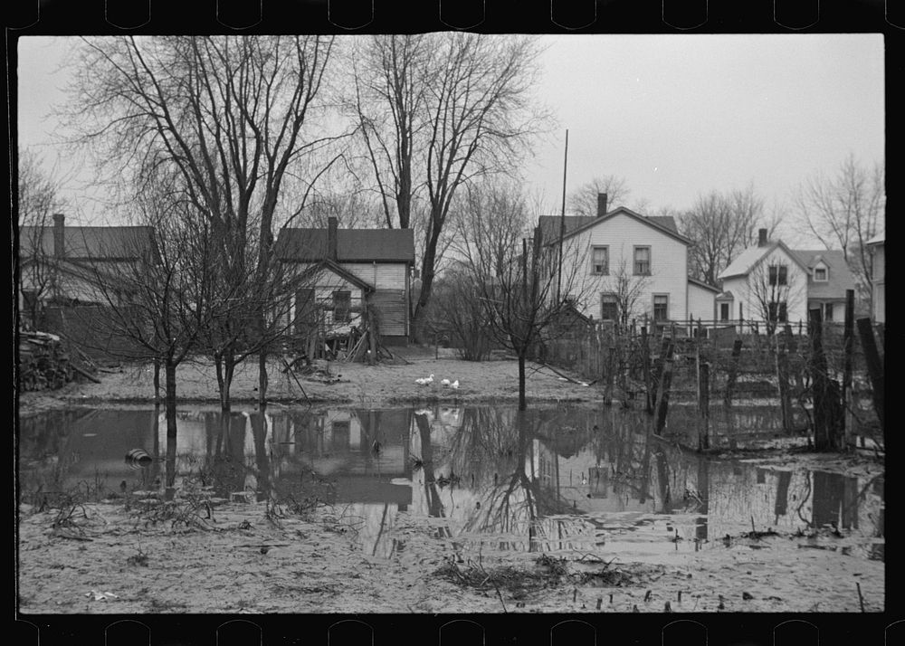 [Untitled photo, possibly related to: Flood toll. Household debris to be destroyed by board of health. North Hatfield…