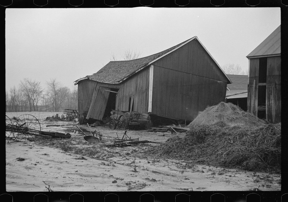 Barn of client after the Connecticut River had subsided, Hatfield, Massachusetts. Sourced from the Library of Congress.
