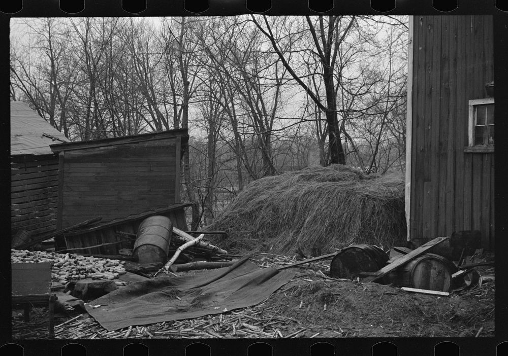 [Untitled photo, possibly related to: Flood debris in yard of resettlement client. The wheelbarrow floated to its precarious…