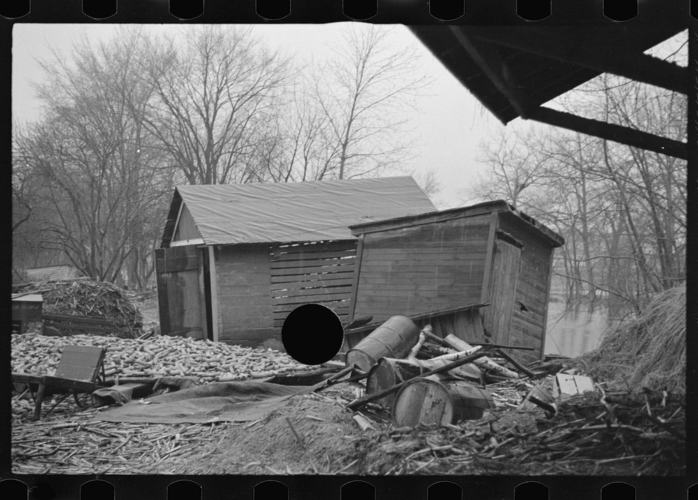 [Untitled photo, possibly related to: Flood debris in yard of resettlement client. The wheelbarrow floated to its precarious…