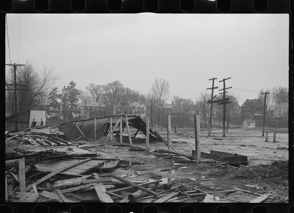 [Untitled photo, possibly related to: Destruction caused by disease-infected waters of the Connecticut River. The owner has…