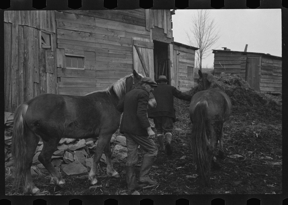 [Untitled photo, possibly related to: Resettlement workers near Kingston, New York, Ulster County]. Sourced from the Library…