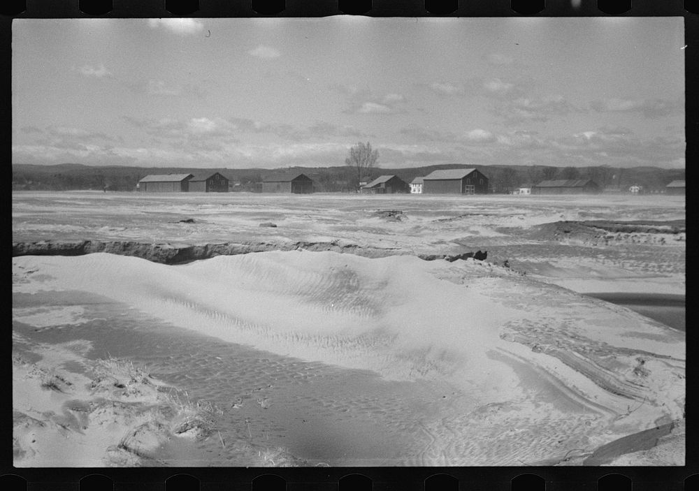 [Untitled photo, possibly related to: Tobacco lands after the Connecticut River had subsided near Hatfield, Massachusetts].…