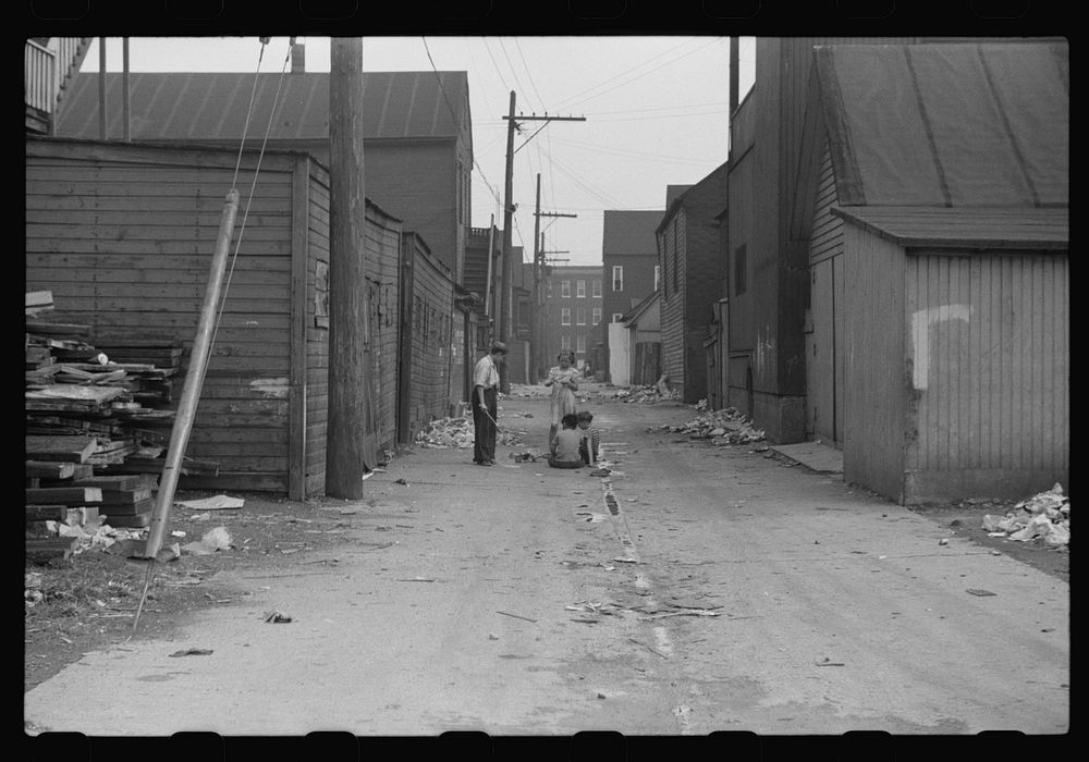 Alley in South Chicago, Illinois. Sourced from the Library of Congress.