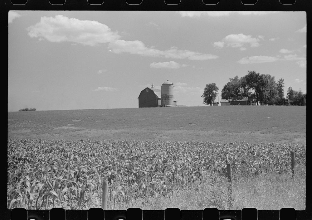 [Untitled photo, possibly related to: Corn and dairy farm, Dodge County, Wisconsin]. Sourced from the Library of Congress.
