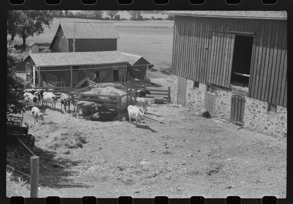 [Untitled photo, possibly related to: Barnyard, Dodge County, Wisconsin]. Sourced from the Library of Congress.
