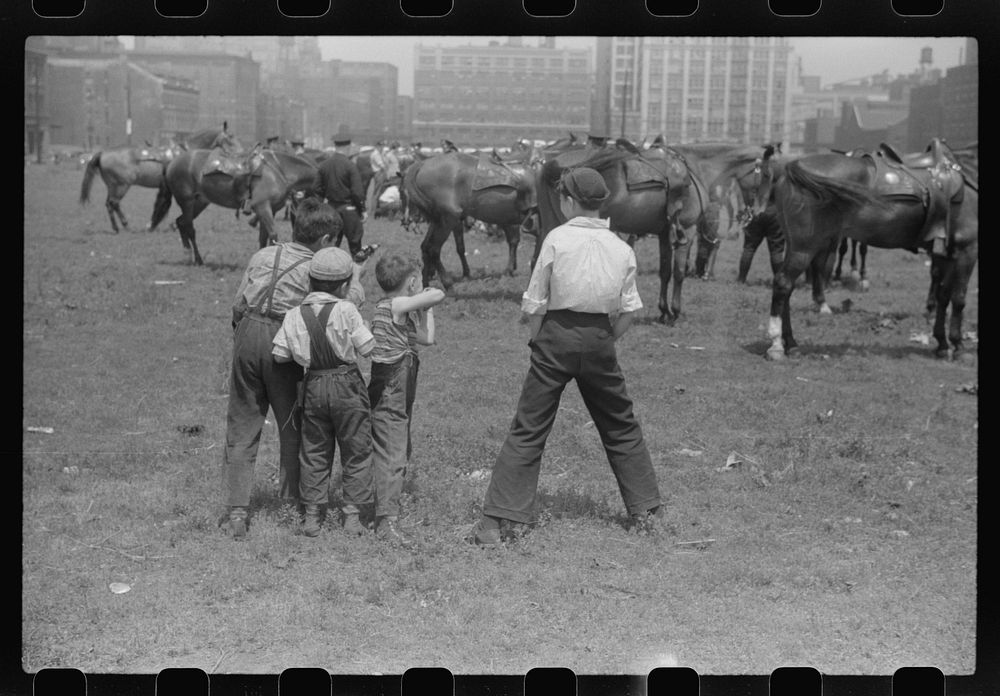 Boys admiring horses of Chicago, Illinois police department. Sourced from the Library of Congress.