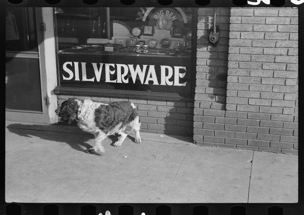 [Untitled photo, possibly related to: Little Falls, Minnesota. Dog sleeping on the sidewalk]. Sourced from the Library of…