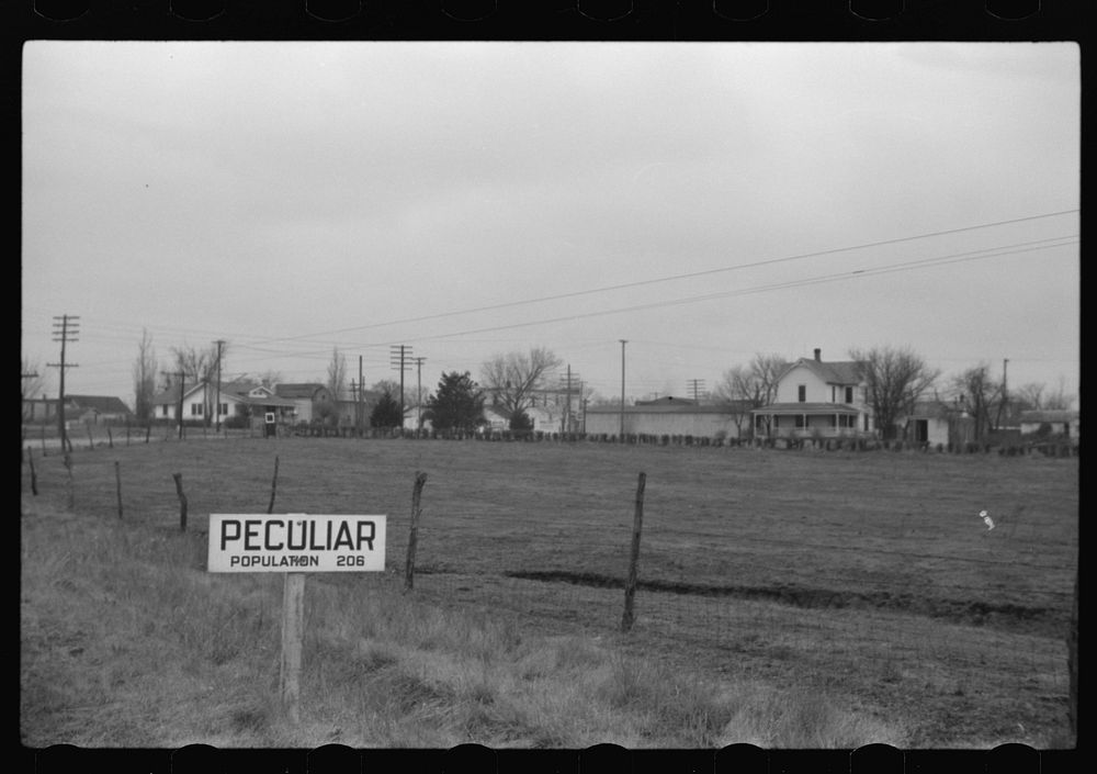 [Untitled photo, possibly related to Free Photo rawpixel