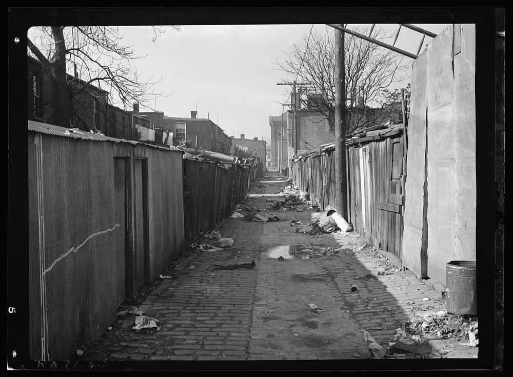 Slum alley in Washington, D.C.. Sourced from the Library of Congress.
