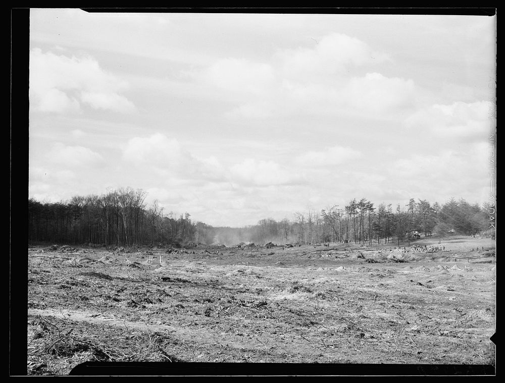 Progress of Berwyn project. Prince George's County, Maryland. Sourced from the Library of Congress.