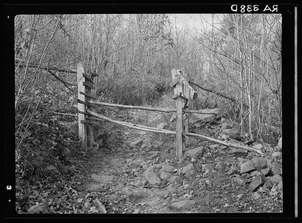 Road to Corbin Hollow. Shenandoah National Park, Virginia. Sourced from the Library of Congress.