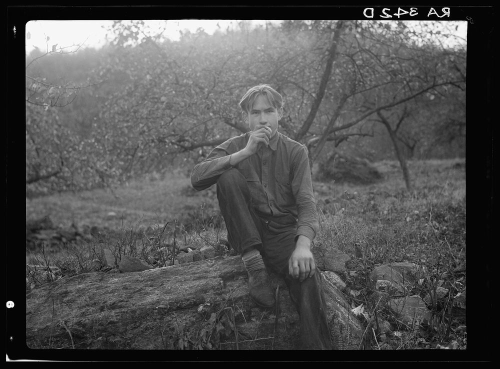 Adam Nicholson. Shenandoah National Park, Virginia. Sourced from the Library of Congress.