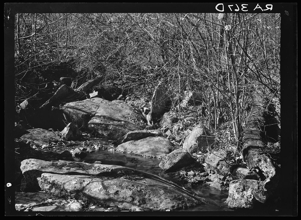 Water supply at Corbin Hollow. Shenandoah National Park, Virginia. Sourced from the Library of Congress.