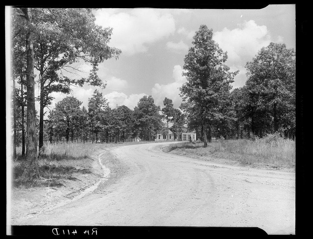 View of McComb Homesteads. Pike County, Mississippi. Sourced from the Library of Congress.