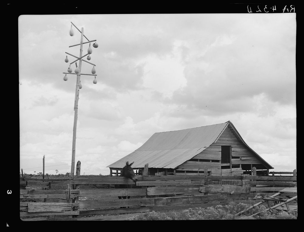 Barn of farmer who will be resettled. Irwinville Farms, Georgia. Sourced from the Library of Congress.