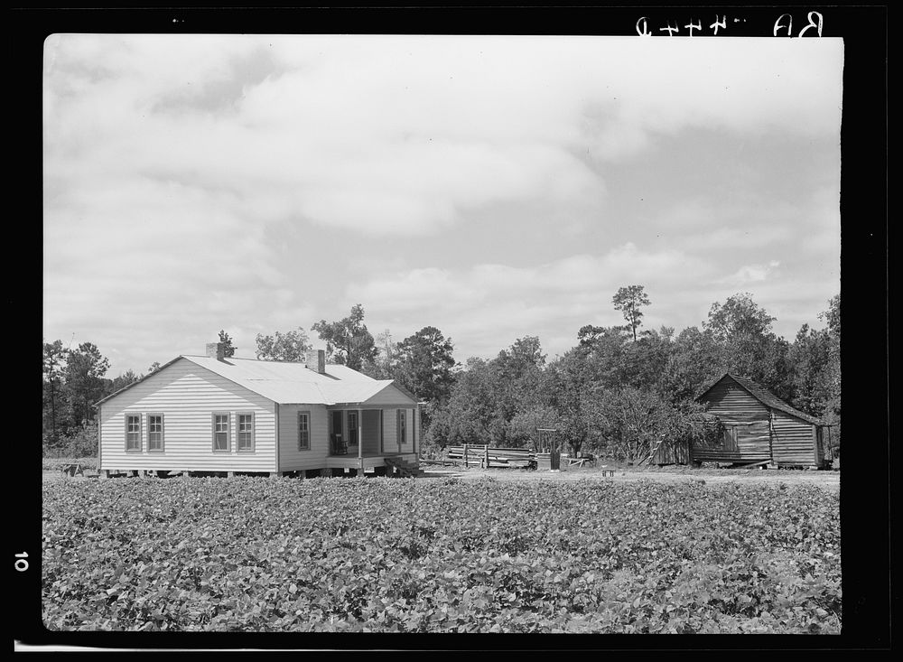New house and old house. Wolf Creek Farms, Georgia. Sourced from the Library of Congress.