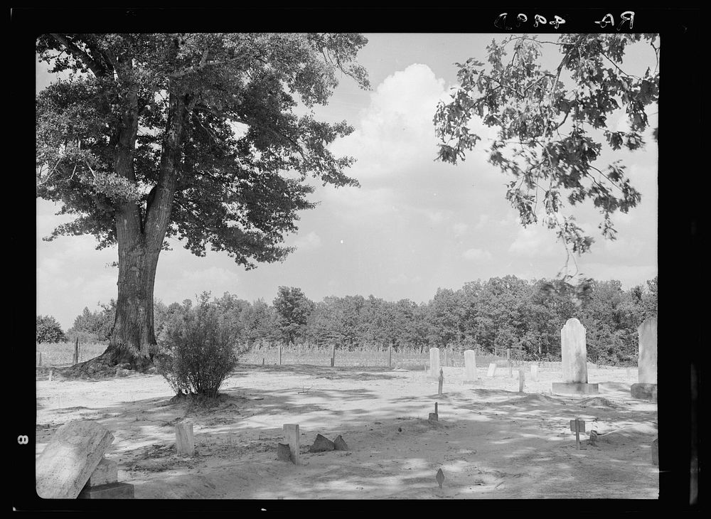 Tenant farmers' cemetery. Mississippi. Sourced from the Library of Congress.