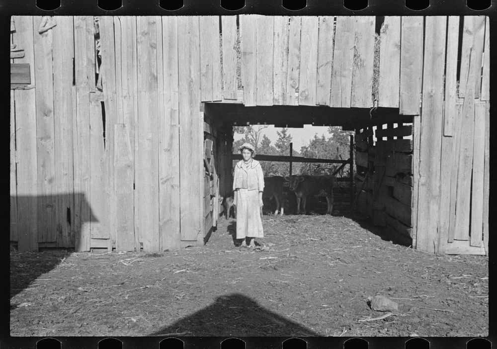[Untitled photo, possibly related to: Dora Mae Tengle, sharecropper's daughter, Hale County, Alabama]. Sourced from the…