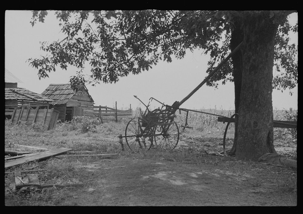 [Untitled photo, possibly related to: A sharecropper's yard, Hale County, Alabama]. Sourced from the Library of Congress.